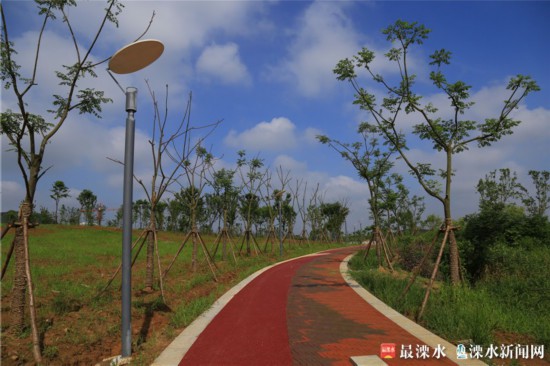 南京今年干旱嚴(yán)重，南京綠化公司為保衛(wèi)綠色家園辛苦工作